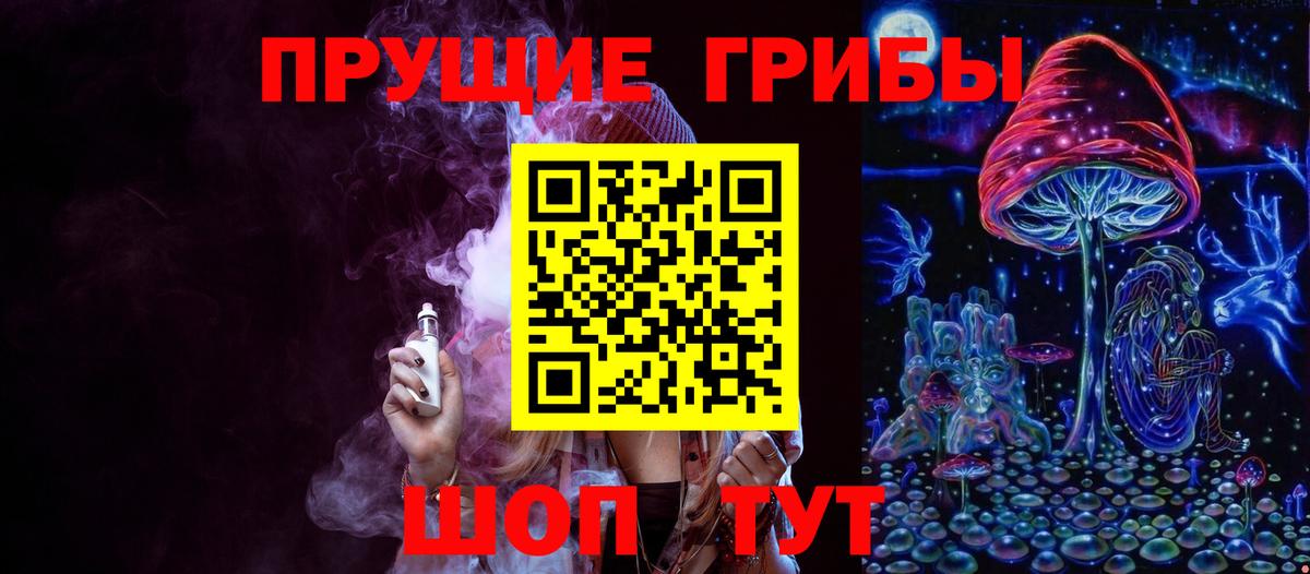 Псилоцибиновые грибы мицелий Калининград